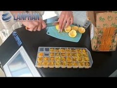 Домашний вакуумный морозильный сушильщик Фруктовое лиофилизатор оборудование