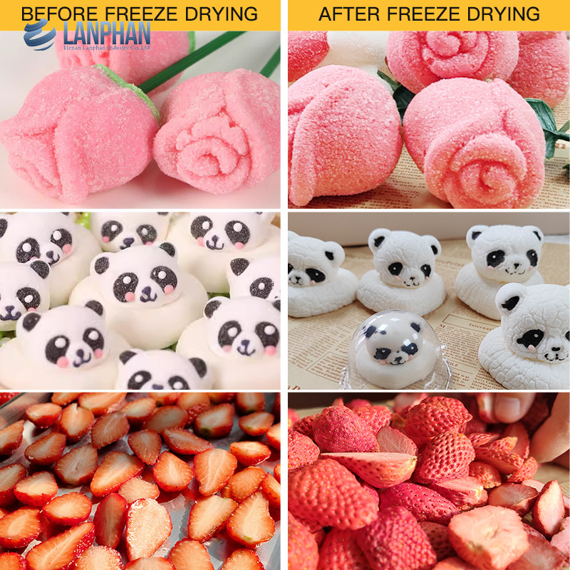 Lanphan 7-Tray Medium Home Freeze Dryer Black White Freeze Dry At Home для употребления в пищу фрукты