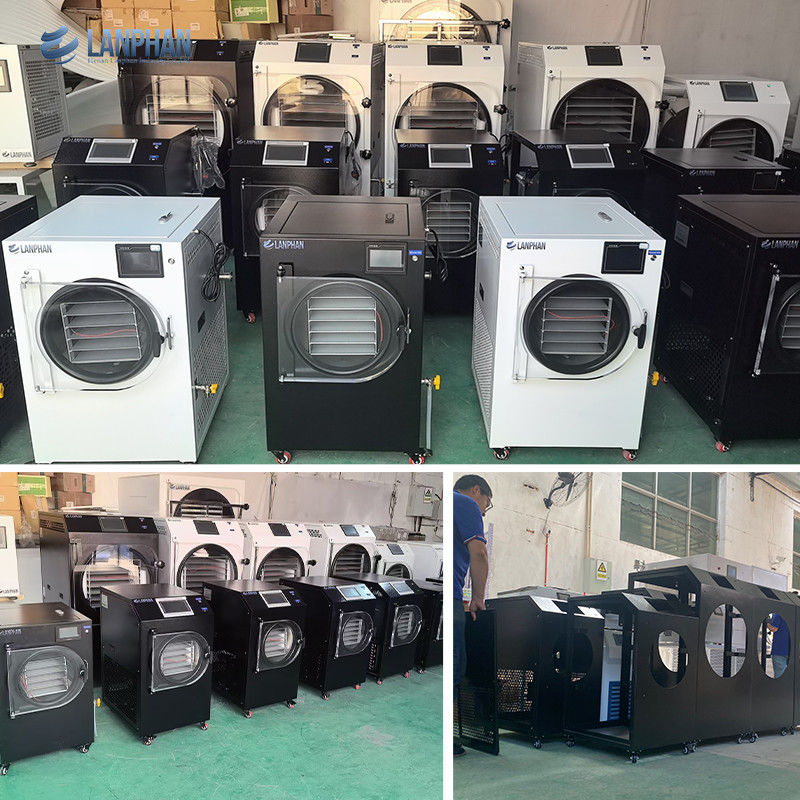 4м2 14 больших лотков вакуумная сушилка для фруктов и продуктов питания Цена Коммерческое оборудование для вакуумной сублимационной сушки продуктов