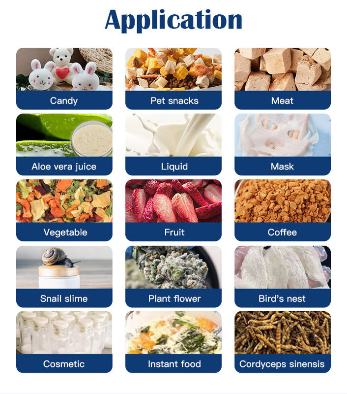 Lager Capacity 60kg 70kg Industrial HFD-50 Vacuum Freeze Dryer Lyophilizer for Food Processing