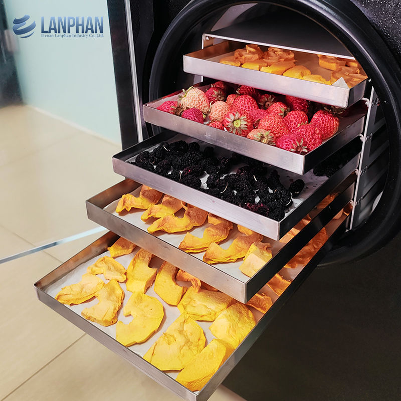 Вакуумный сушильщик морозильщик сушильщик морозильщик для мяса пищевые животные морозильщик фруктовый сушильщик