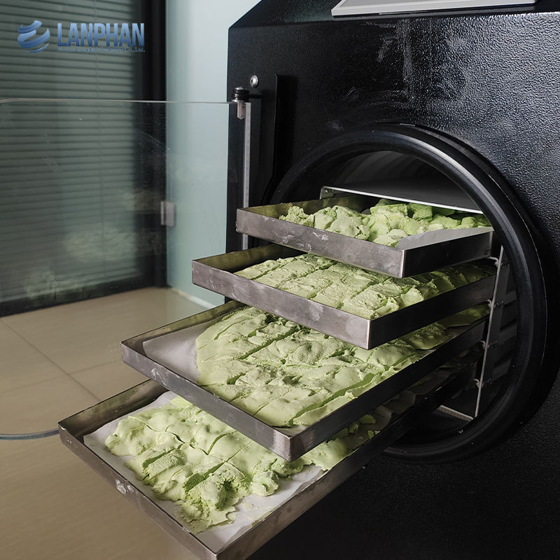 Вакуумный сушильщик морозильщик сушильщик морозильщик для мяса пищевые животные морозильщик фруктовый сушильщик