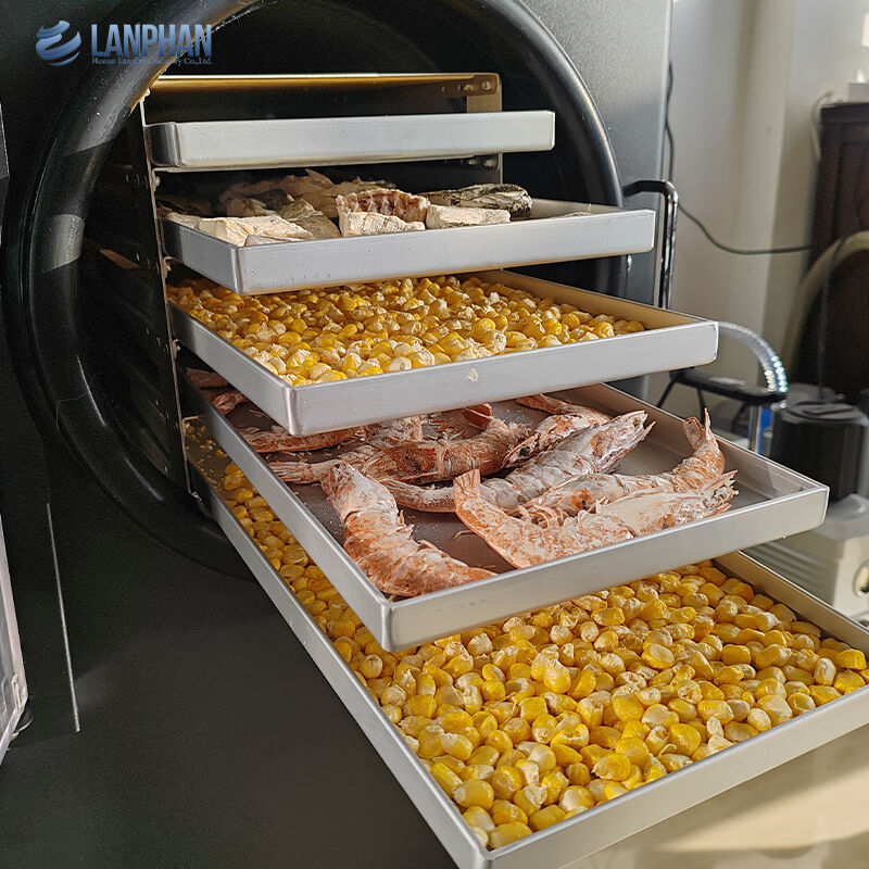 5-х лотках малых размеров нержавеющей стали морозильной сушильщик с насосом для масла для кондитерских продуктов