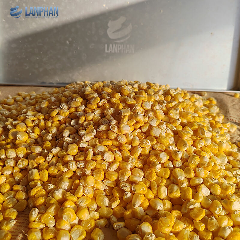 Автоматическая небольшая вакуумная сублимационная сушилка для продуктов, фруктов и мяса, 4-6 кг, для домашнего использования