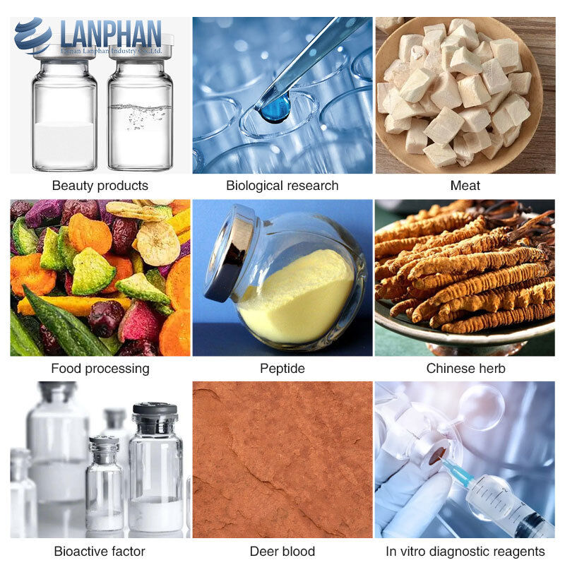 Лабораторная сушилка с холодильником Вакуумная сушилка для биологических фармацевтических продуктов питания