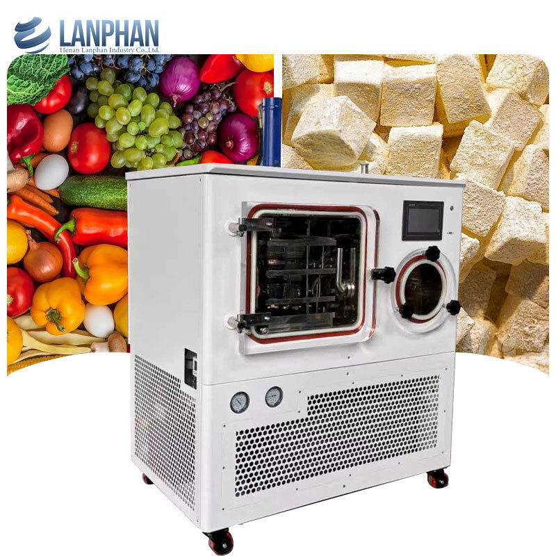 8 кг/ партия Лиофилизация Промышленная лаборатория Сушилки для заморозки Фармацевтика, Микробные продукты