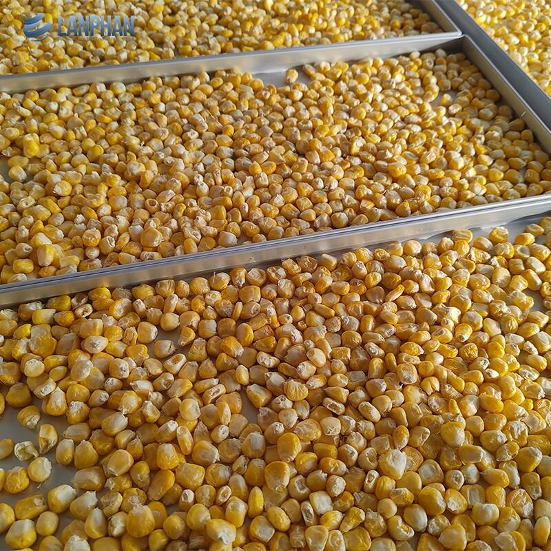 5-х лотках малых размеров нержавеющей стали морозильной сушильщик с насосом для масла для кондитерских продуктов