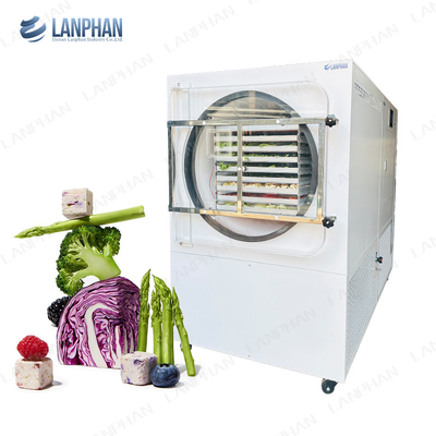 Lanphan Автоматический большой фризосушитель 5м2 Фризосушитель для мяса Фрукты овощи